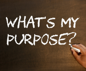 Purpose